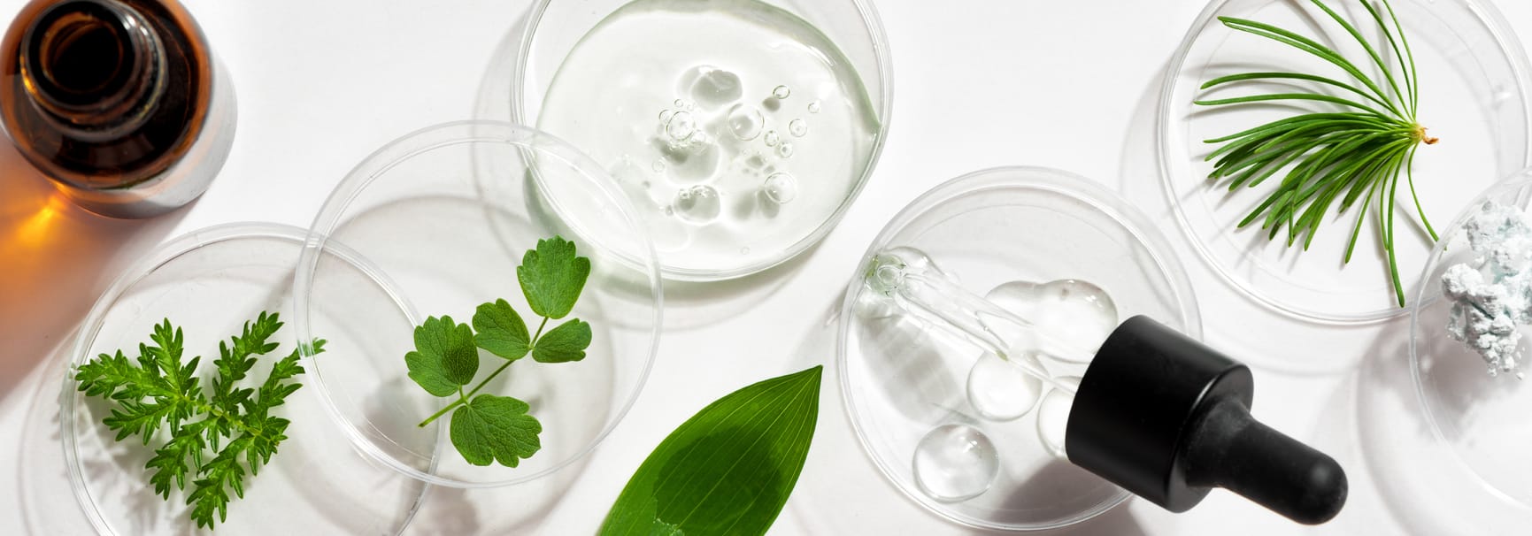   COSRX Advanced Snail: Meine 3-Step-Routine für Glow zum smarten Preis