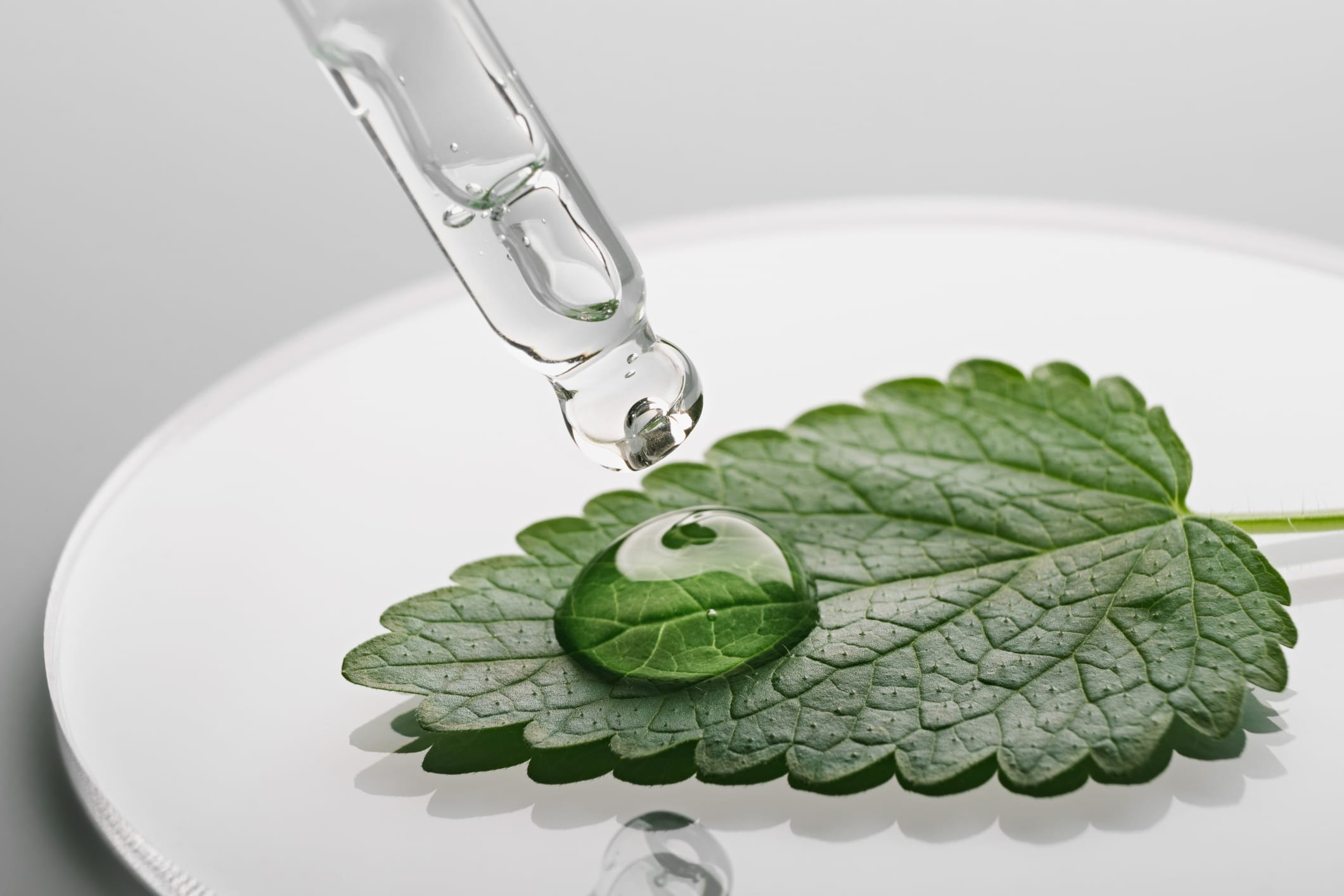  Tata Harper Anti-Aging: 4 Luxusformeln im Real Talk 